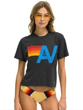 Aviator Nation Logo Boyfriend Tee in Charcoal